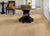 SETUP in River Bend Oak