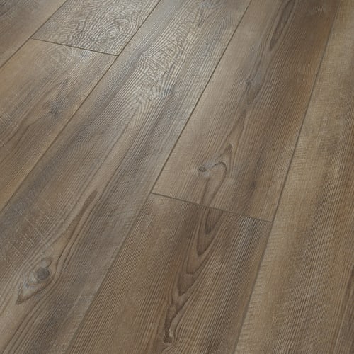 Paladin Plus in Ripped Pine