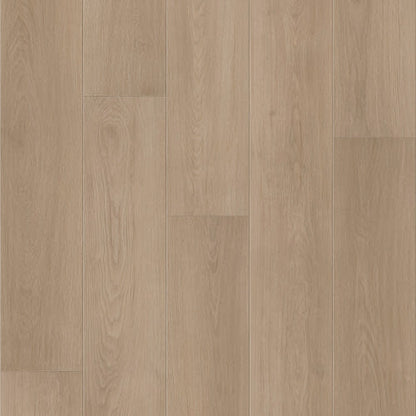 FRESH TAKE in Bentwood Tan