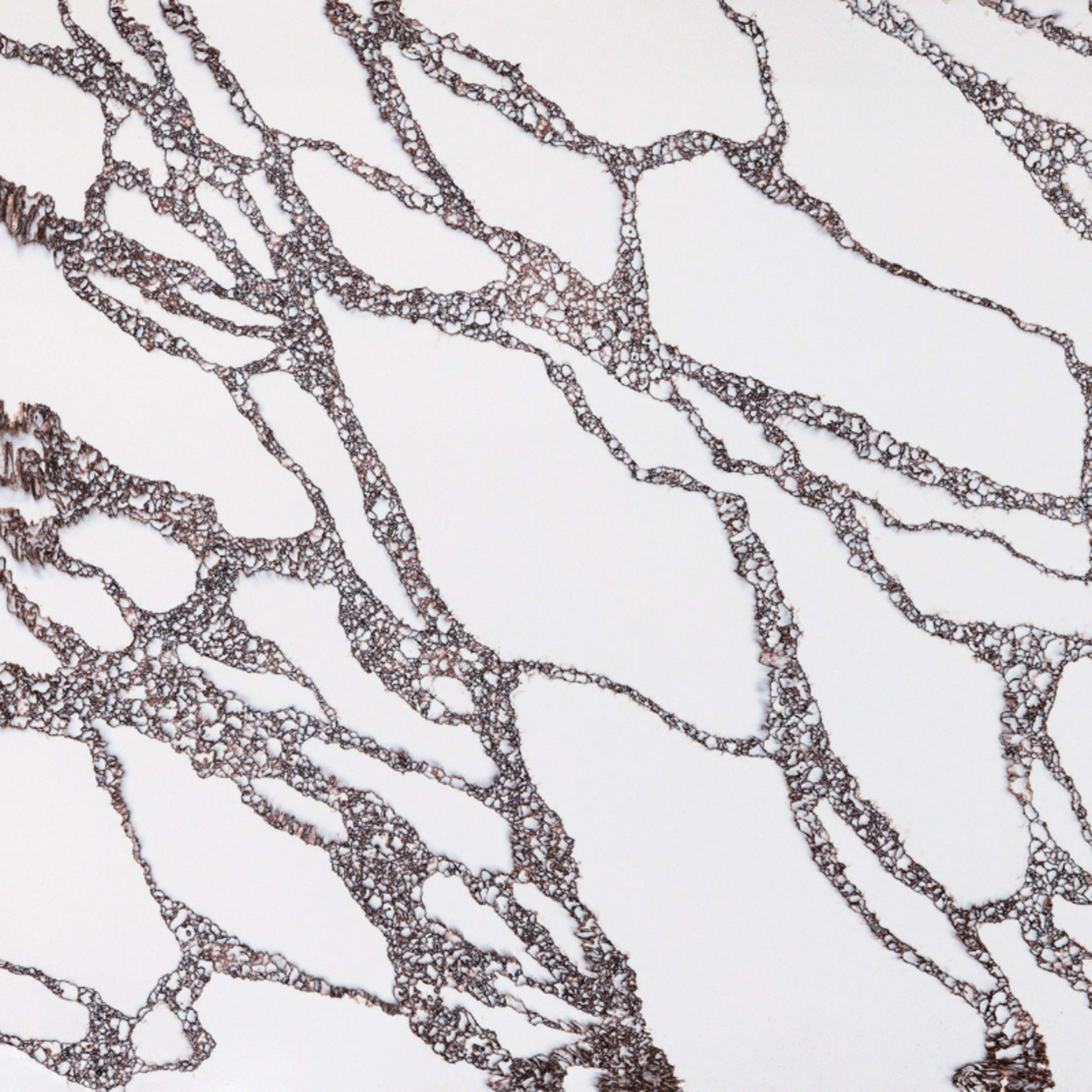 Hidden Inspiration in Crimson Peak Solid Surface