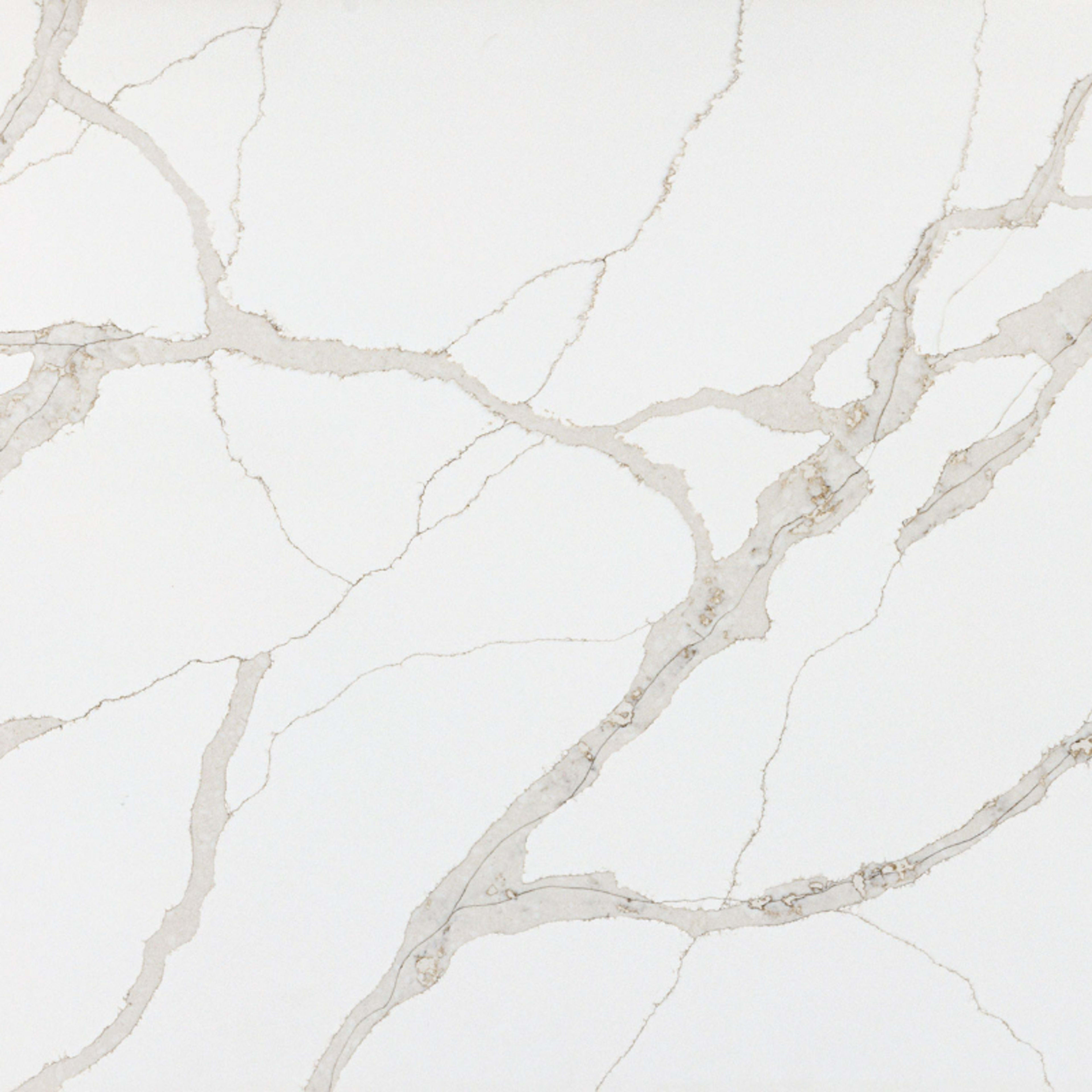 Threads of Nature in Aurum Solid Surface