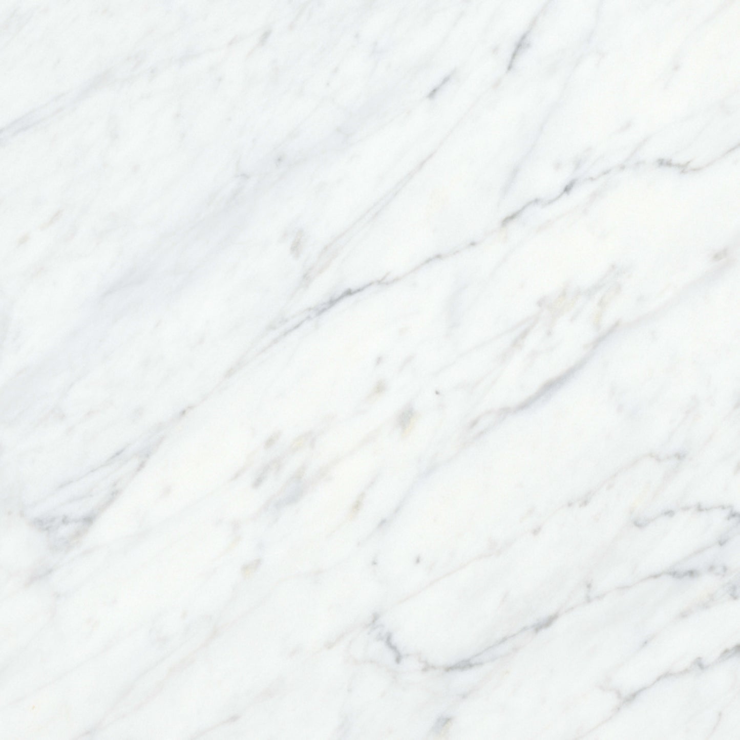 Virtue Bianco in Honed 12x24 Natural Stone