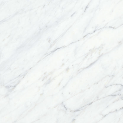 Virtue Bianco in Honed 12x24 Natural Stone