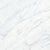 Virtue Bianco in Honed 12x24 Natural Stone