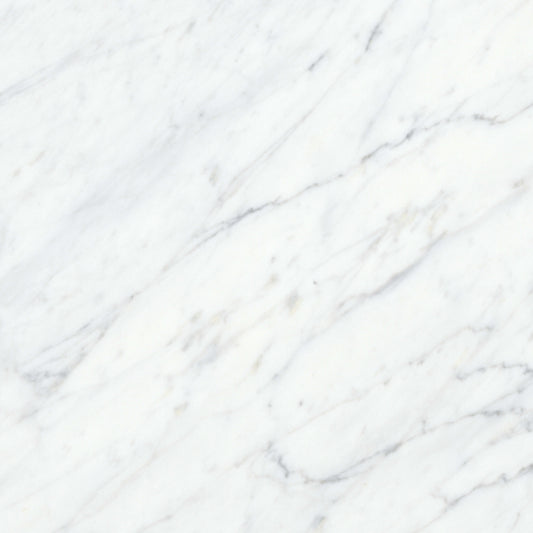 Virtue Bianco in Honed 12x24 Natural Stone