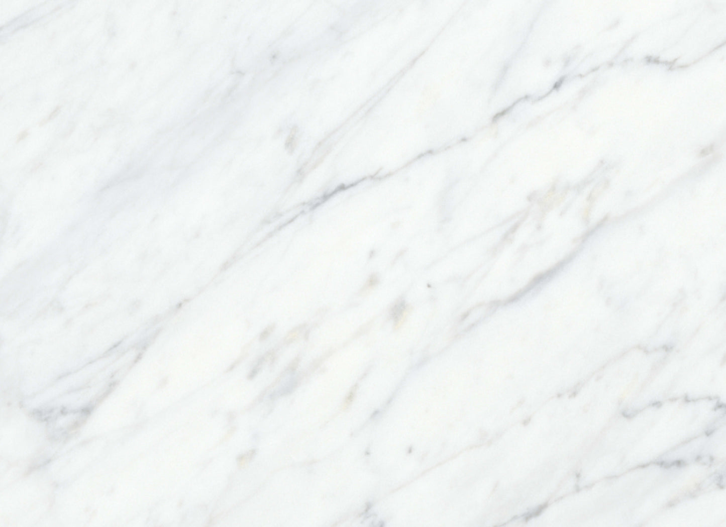 Virtue Bianco in Honed 12x24