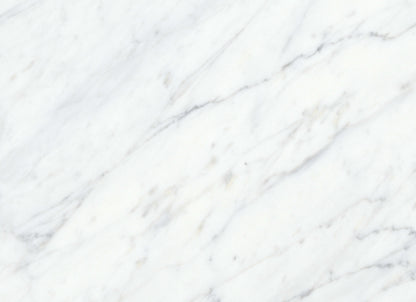 Virtue Bianco in Honed 12x24