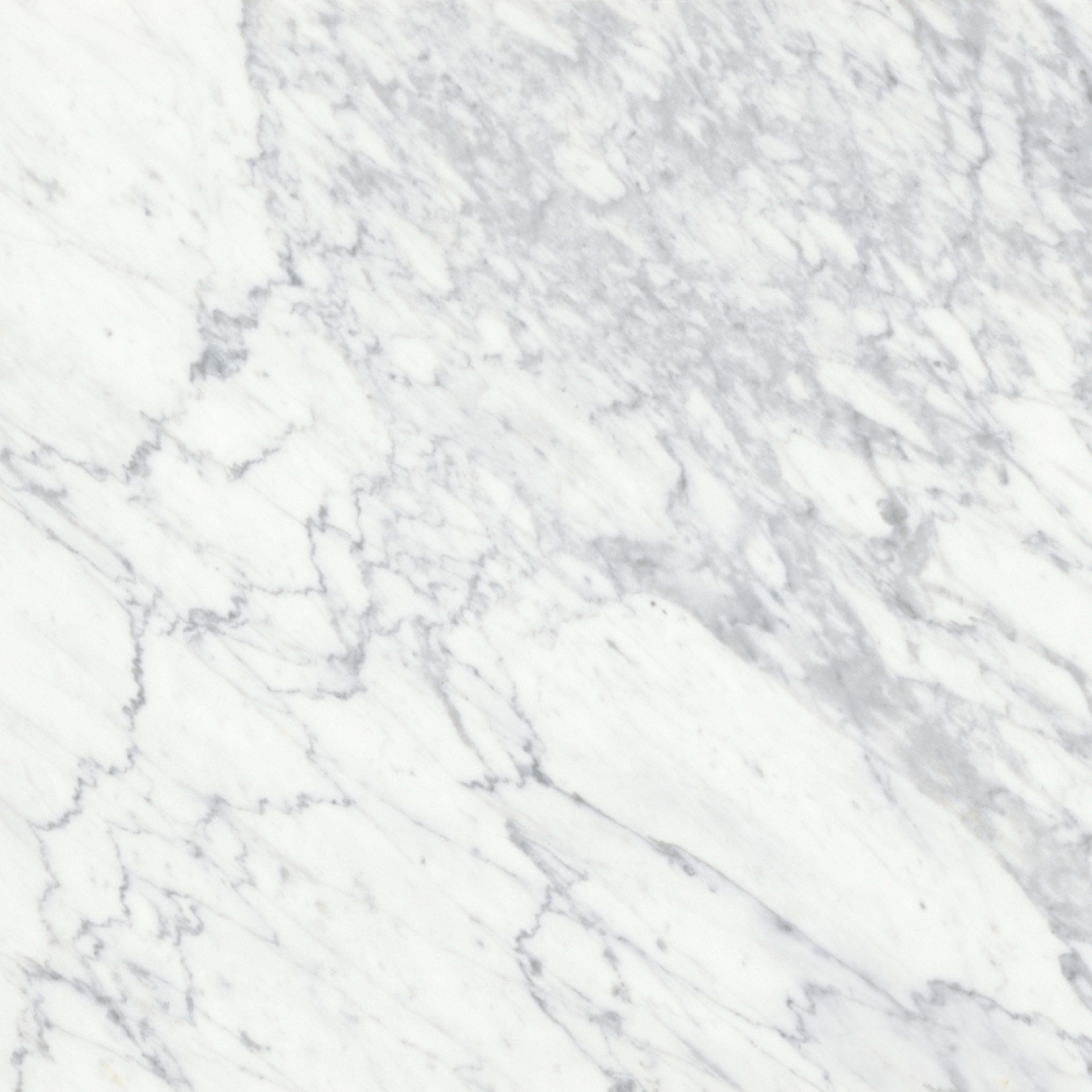Virtue Bianco in Honed 18x36 Natural Stone