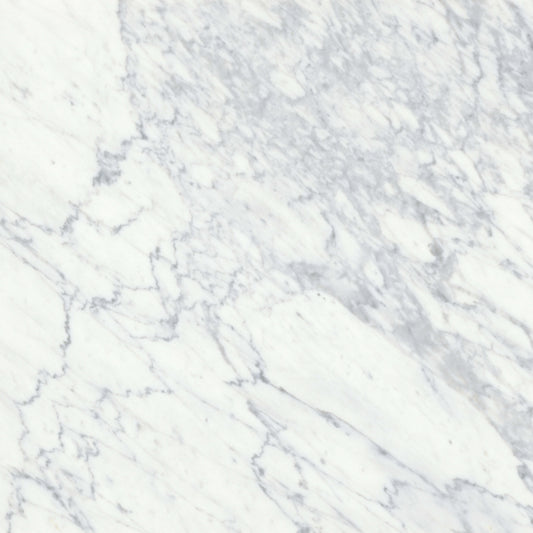 Virtue Bianco in Honed 18x36 Natural Stone