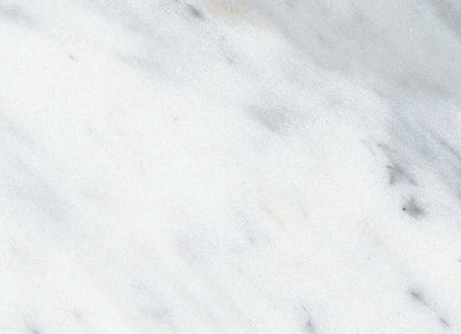 Virtue Bianco in Honed 3x12