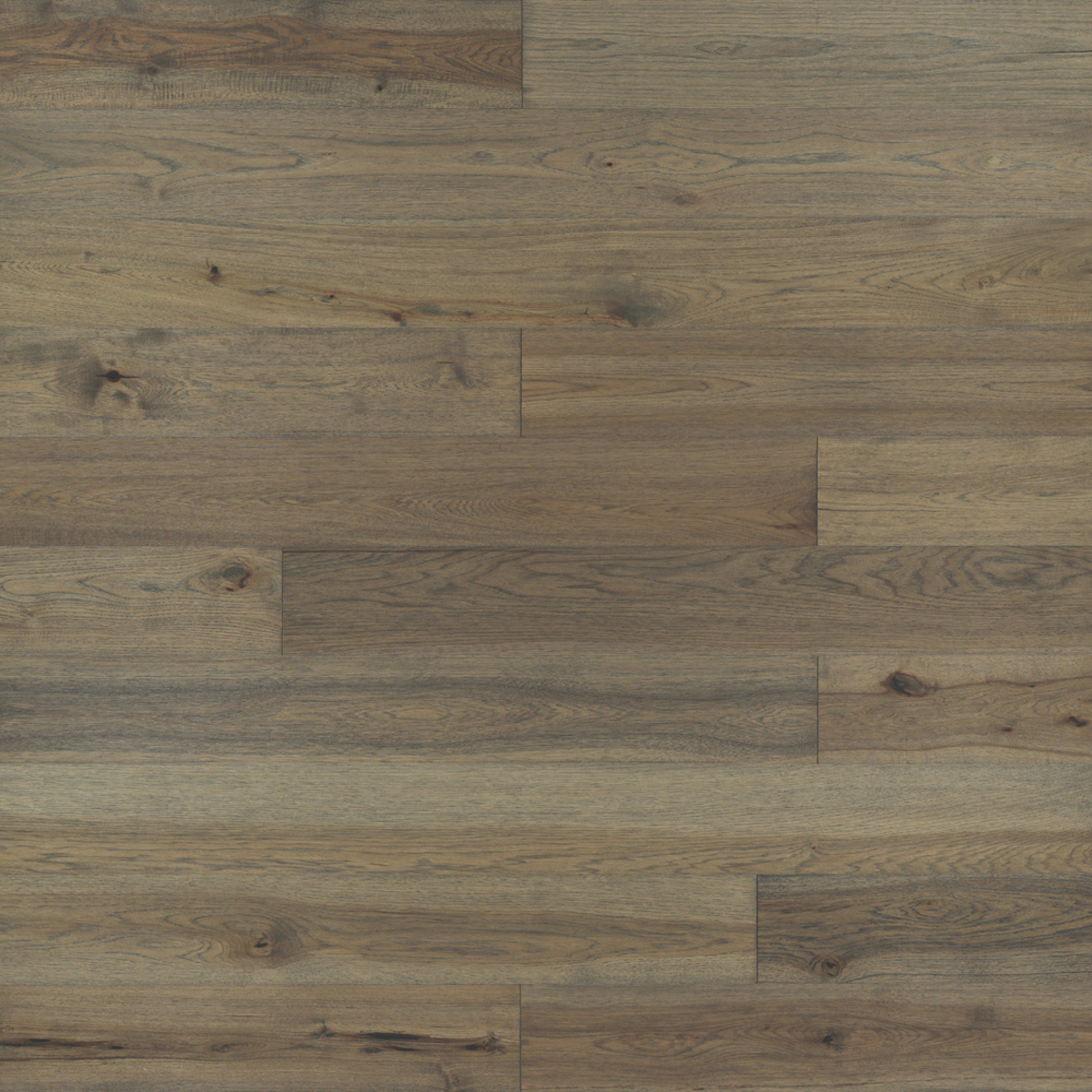 Ventura Hardwood in Hampton Hardwood