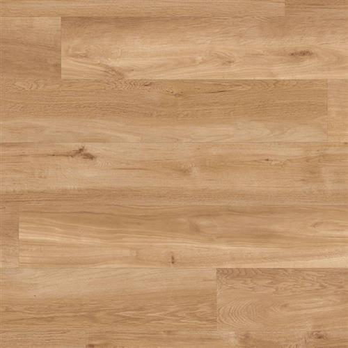 Van Gogh in French Oak