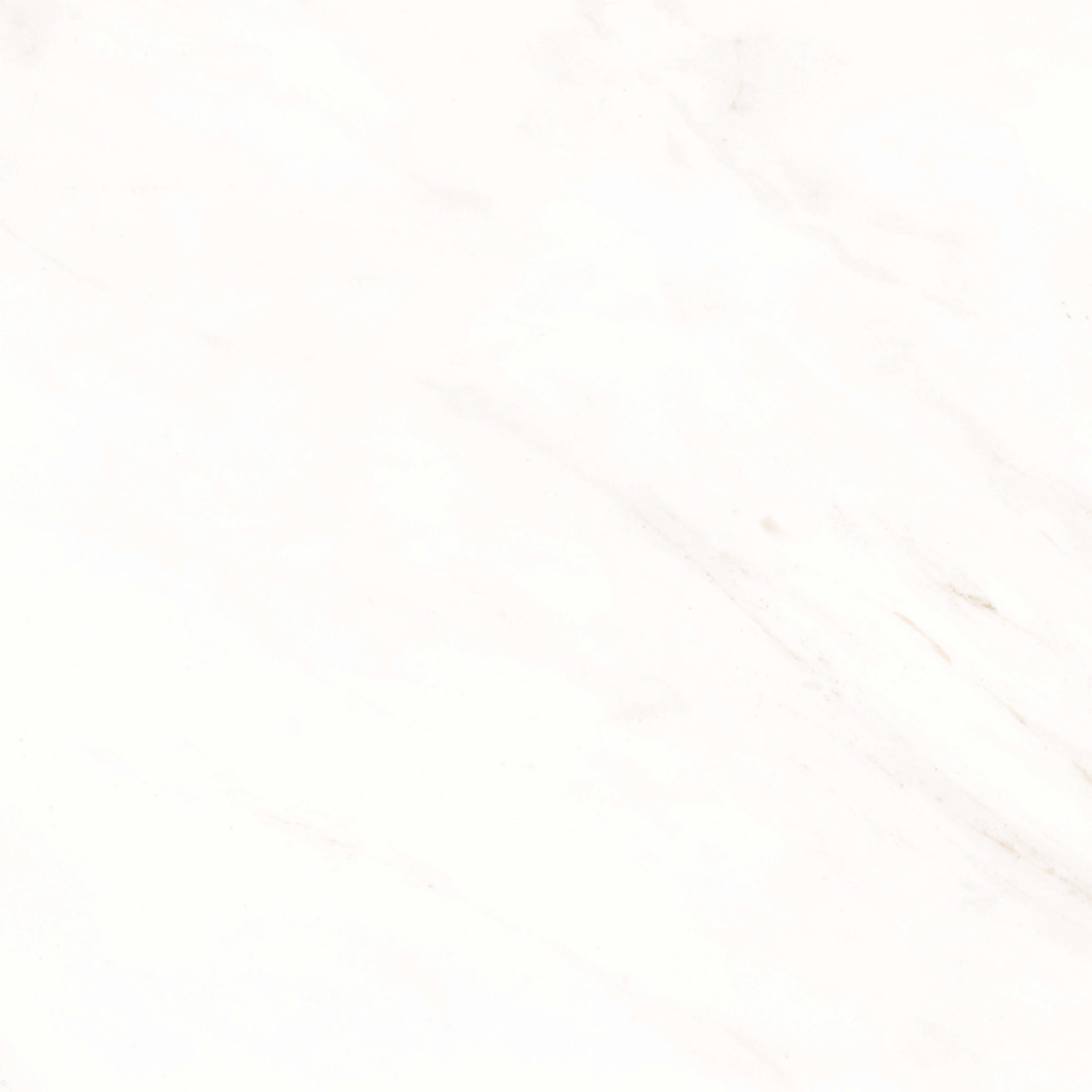 Frost in Snow 12x24 Matte Tile