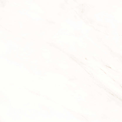Frost in Snow 12x24 Matte Tile