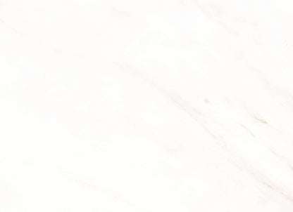 Frost in Snow 12x24 Matte