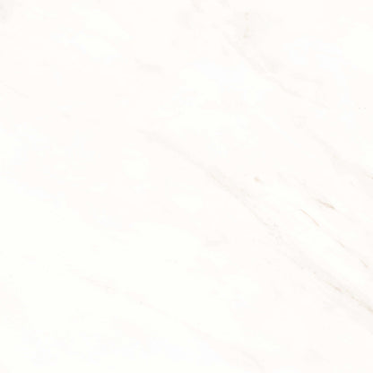 Frost in Snow 24x24 Matte Tile