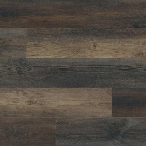 Cyrus in Stable Luxury Vinyl