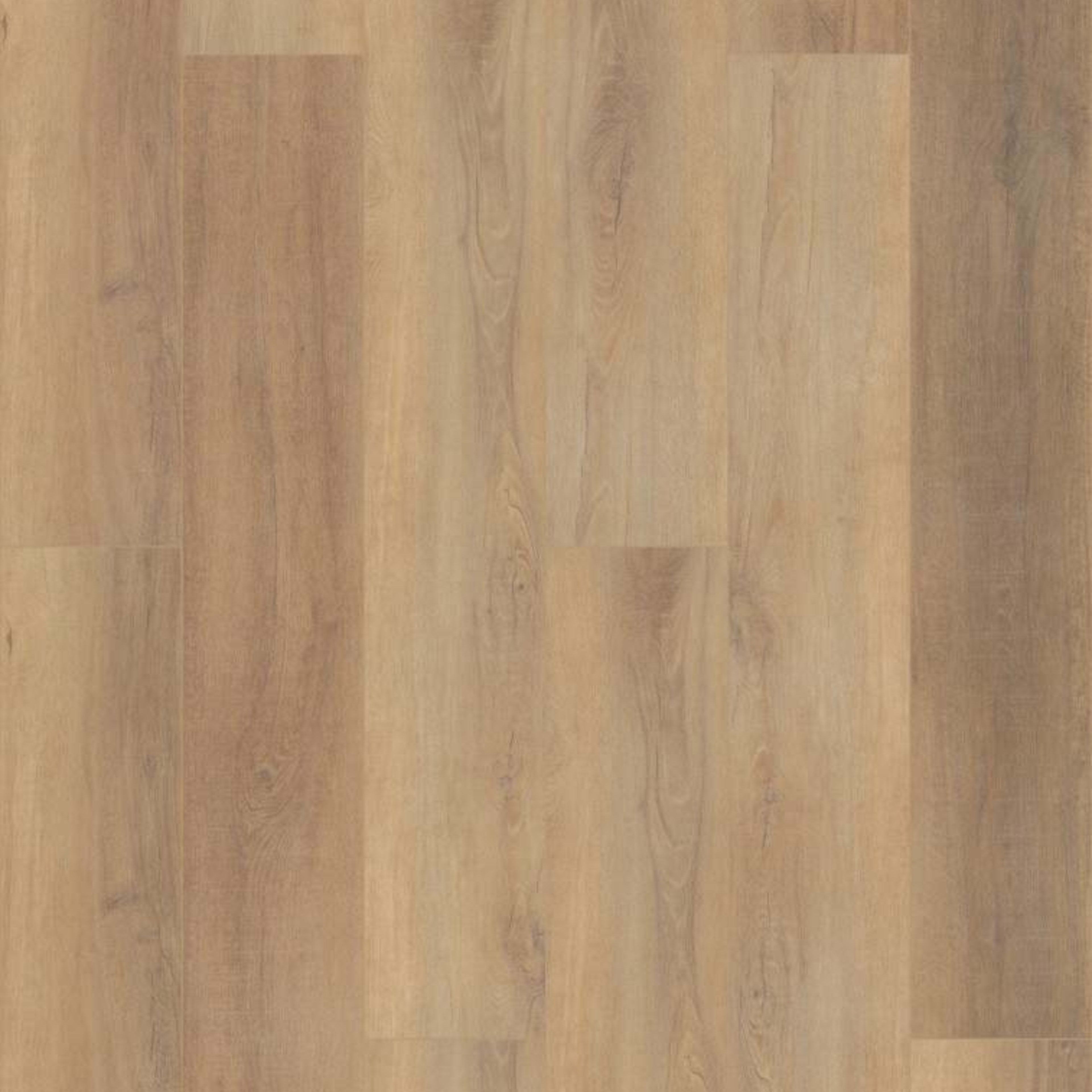 CORETEC PRO ENHANCED VV488 in Canterbury Elm Luxury Vinyl