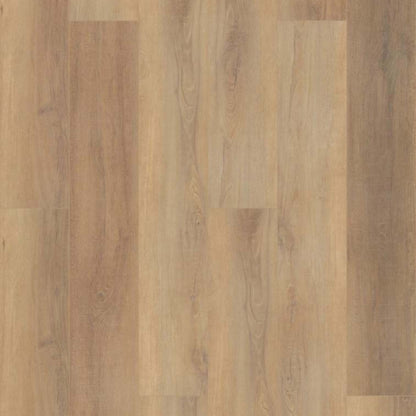 CORETEC PRO ENHANCED VV488 in Canterbury Elm Luxury Vinyl