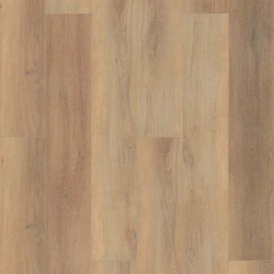 CORETEC PRO ENHANCED VV488 in Canterbury Elm Luxury Vinyl