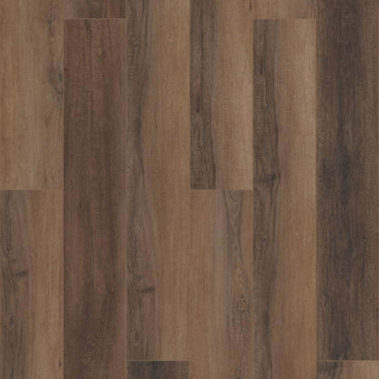 CORETEC PRO ENHANCED VV488 in Cheshire Elm Luxury Vinyl