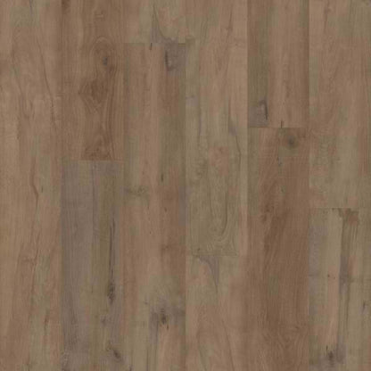 CORETEC PRO PREMIUM VV800 in Warwick Maple Luxury Vinyl