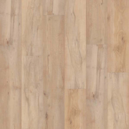 CORETEC PRO PREMIUM VV800 in Brookfield Maple Luxury Vinyl