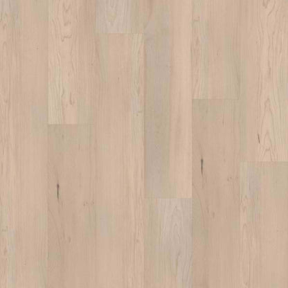 CORETEC PRO PREMIUM VV800 in Norfolk Maple Luxury Vinyl