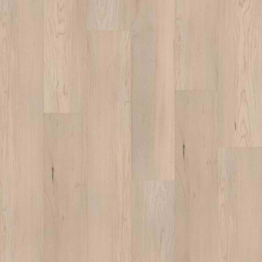 CORETEC PRO PREMIUM VV800 in Norfolk Maple Luxury Vinyl