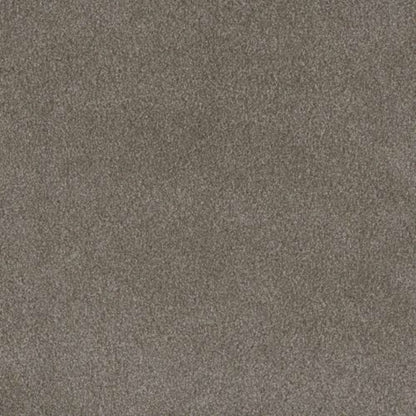 PALMETTO I