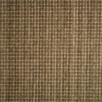 Winston (cav)