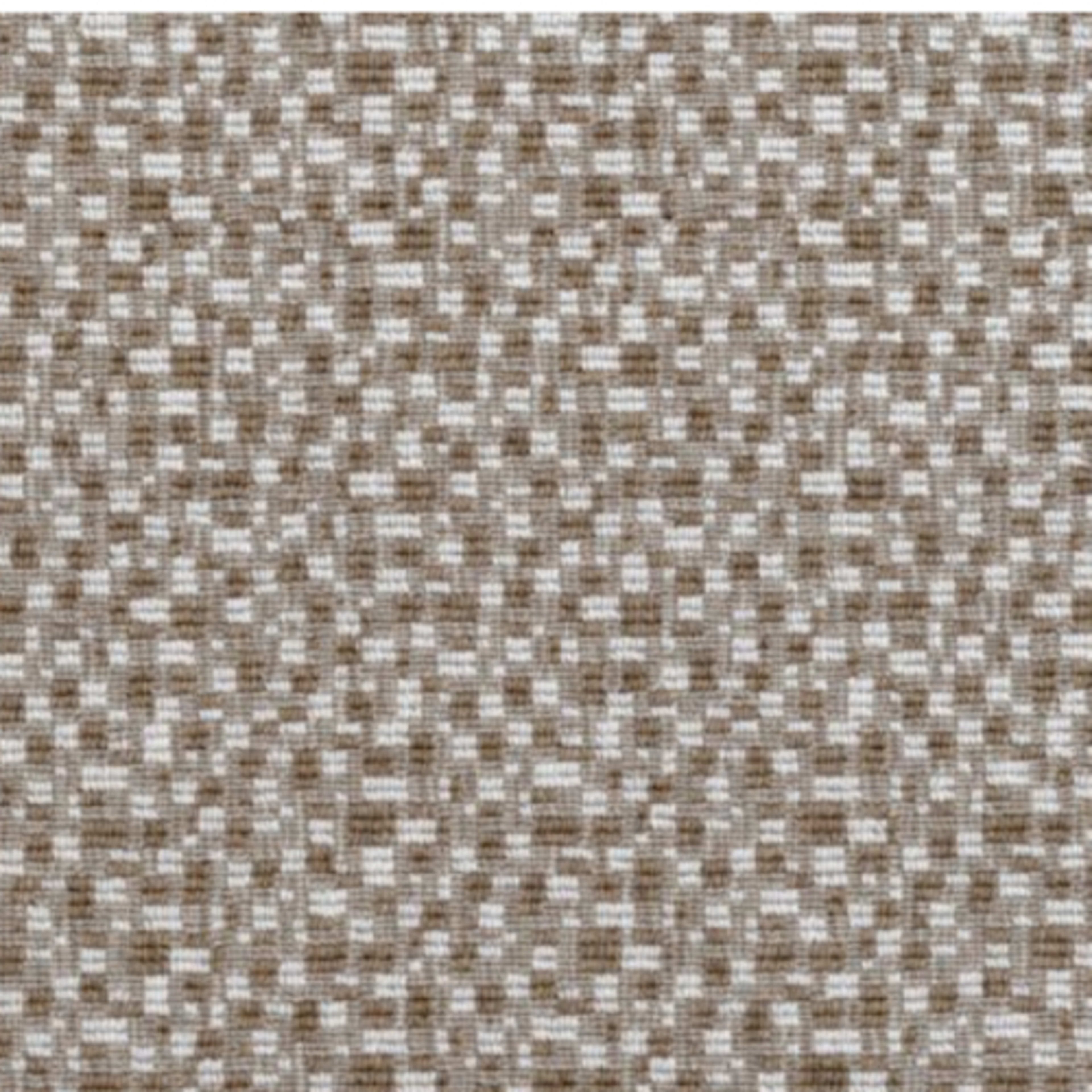 Casia in Linen Dune Carpet