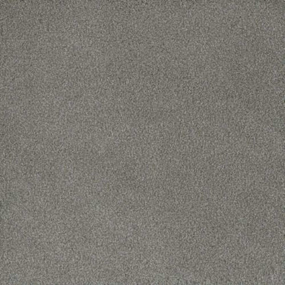 PALMETTO I