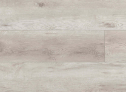 Wide Plank in Ivy Trail