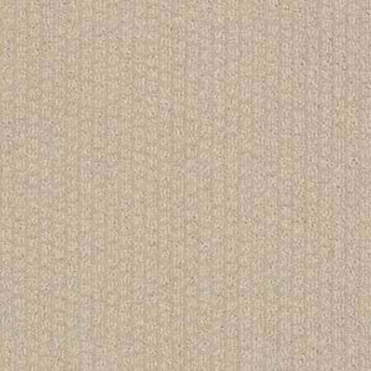 XV988 in Dunes Carpet