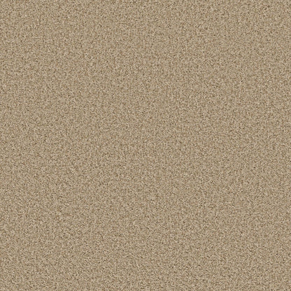 XV994