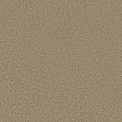 XV994