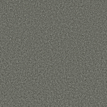XV994
