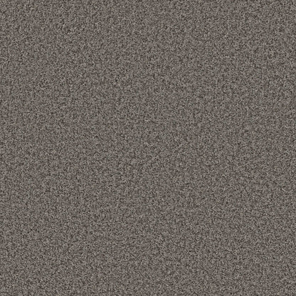 XV994