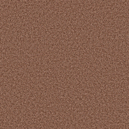 XV994