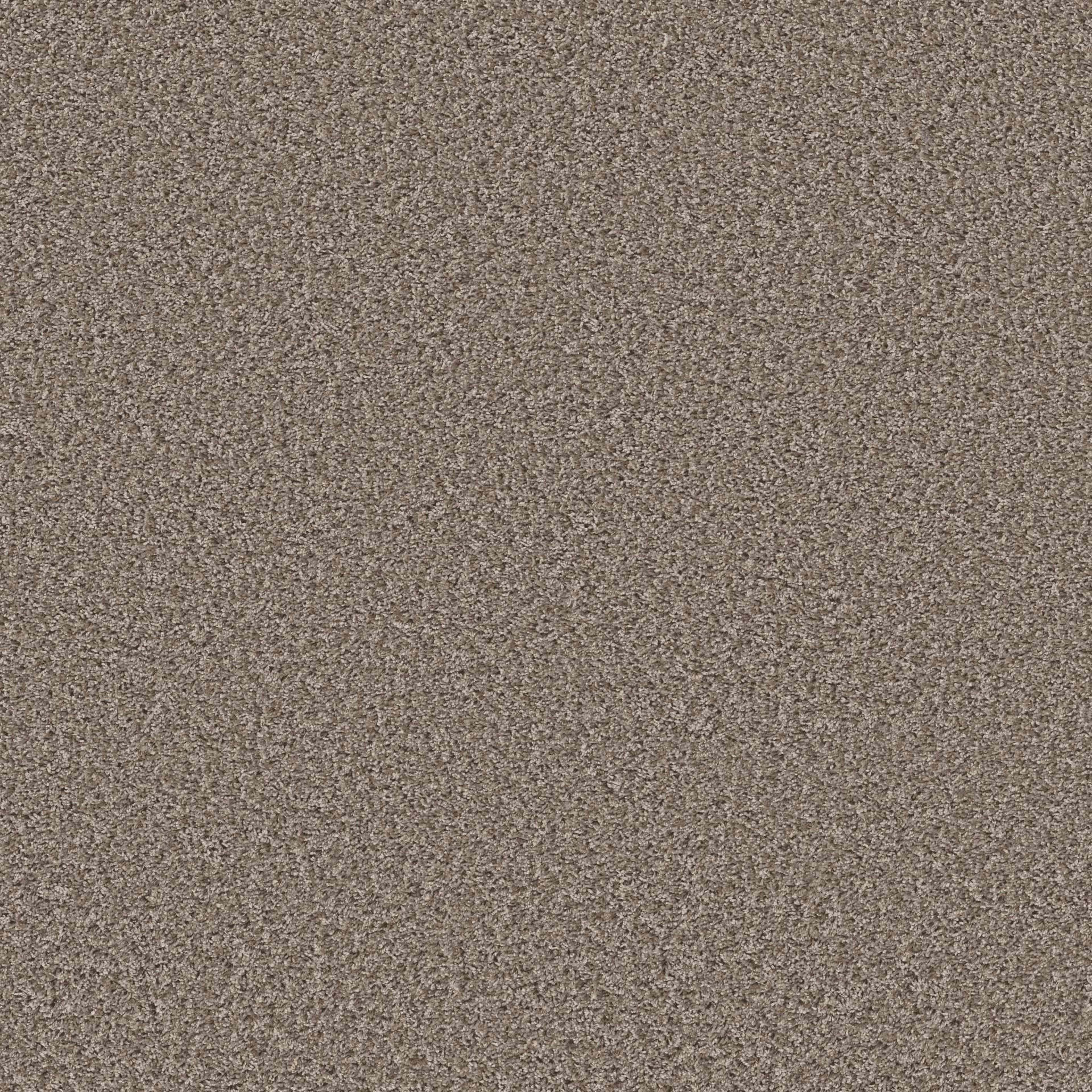 XV994 in Tempting Taupe Carpet