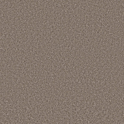 XV994 in Tempting Taupe Carpet
