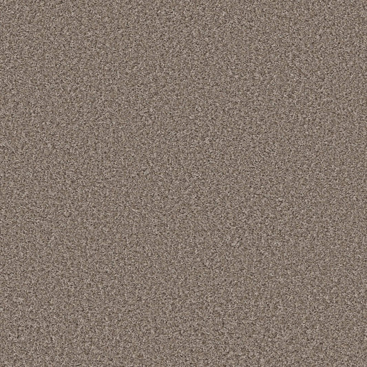 XV994 in Tempting Taupe Carpet