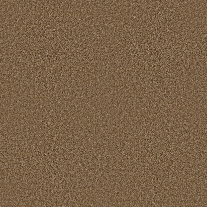 XV994