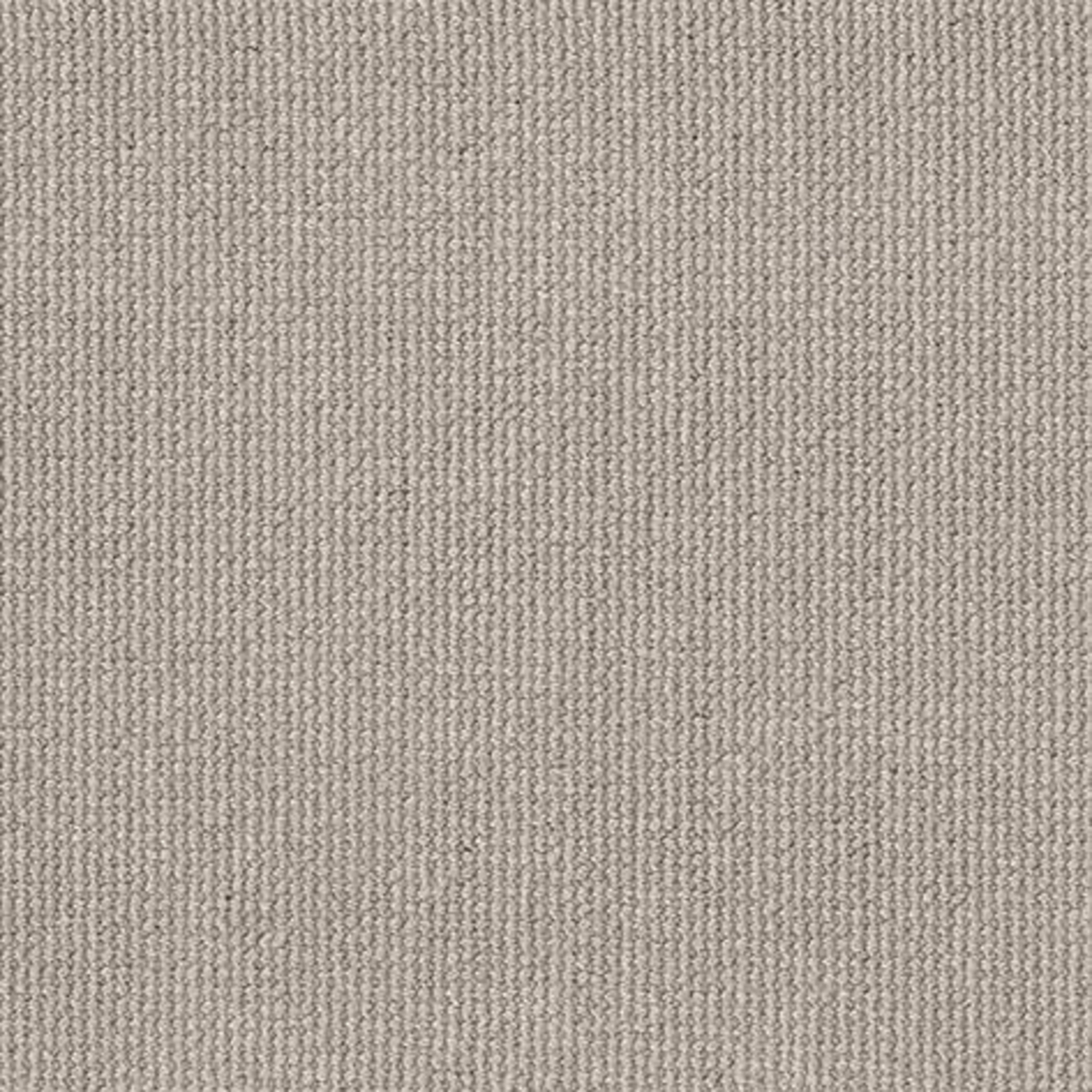 PURRFECTION in Silver Birch Carpet