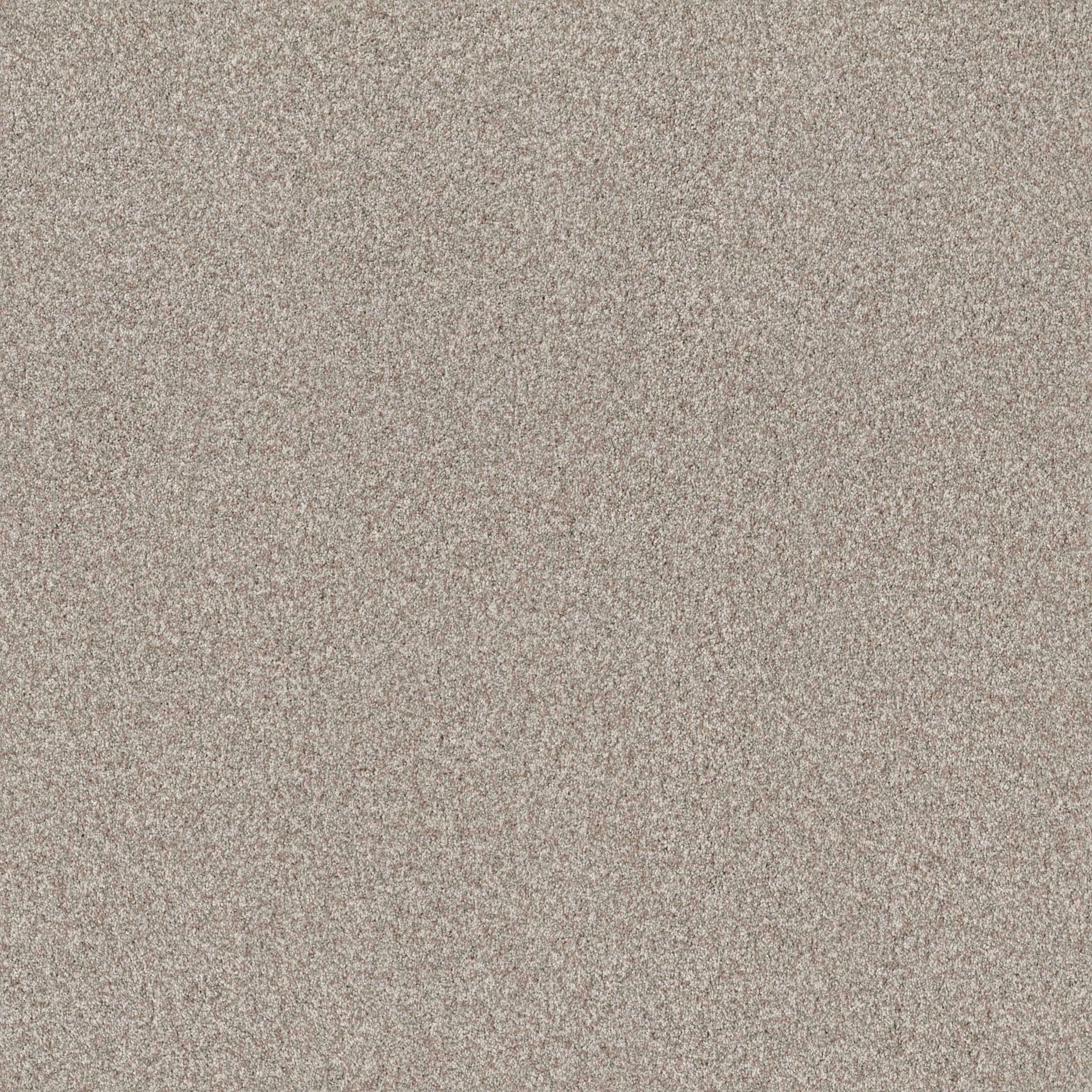 TERRA NOVA in Misty Dawn Carpet