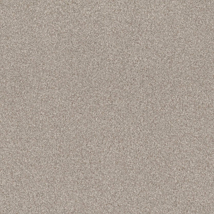 TERRA NOVA in Misty Dawn Carpet