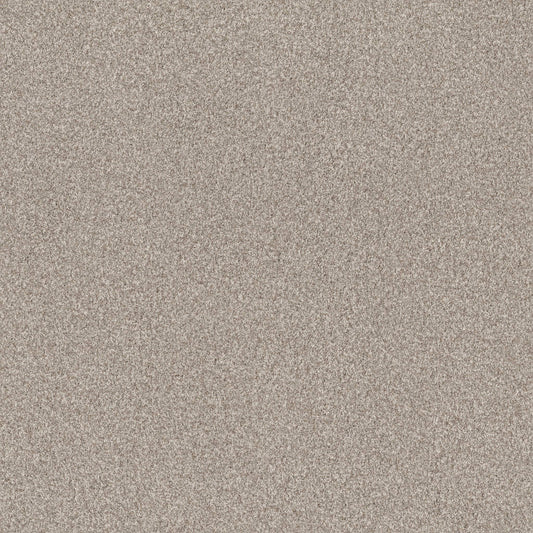 TERRA NOVA in Misty Dawn Carpet