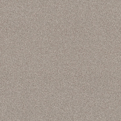 TERRA NOVA
