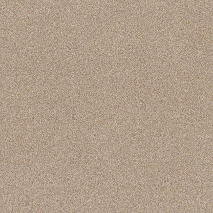 TERRA NOVA